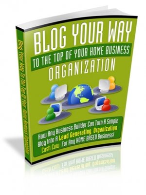 cover image of Blog Your Way to the Top of Your Home Business Organization
